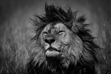 Charger l&#39;image dans la galerie, Le portrait du Roi
