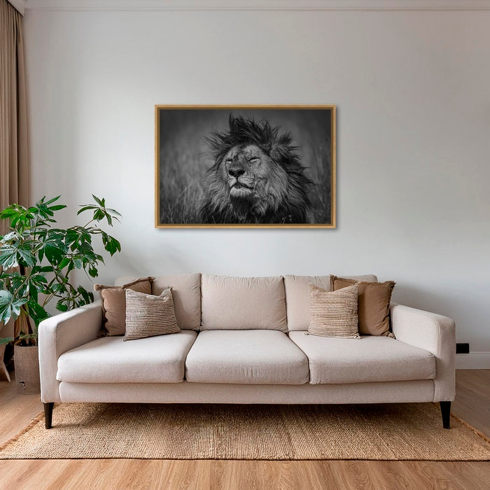 Le portrait du Roi