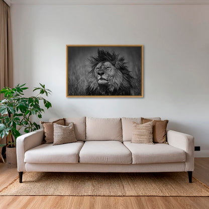 Le portrait du Roi