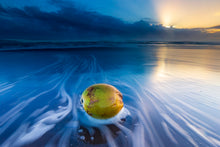 Charger l&#39;image dans la galerie, Noix à la mer
