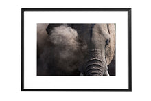 Charger l&#39;image dans la galerie, Poussière d&#39;éléphant
