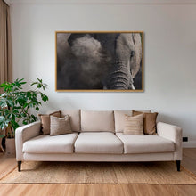 Charger l&#39;image dans la galerie, Douche de poussière
