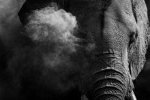 Charger l&#39;image dans la galerie, Douche de poussière 2
