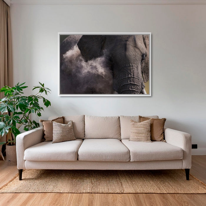 Poussière d'éléphant