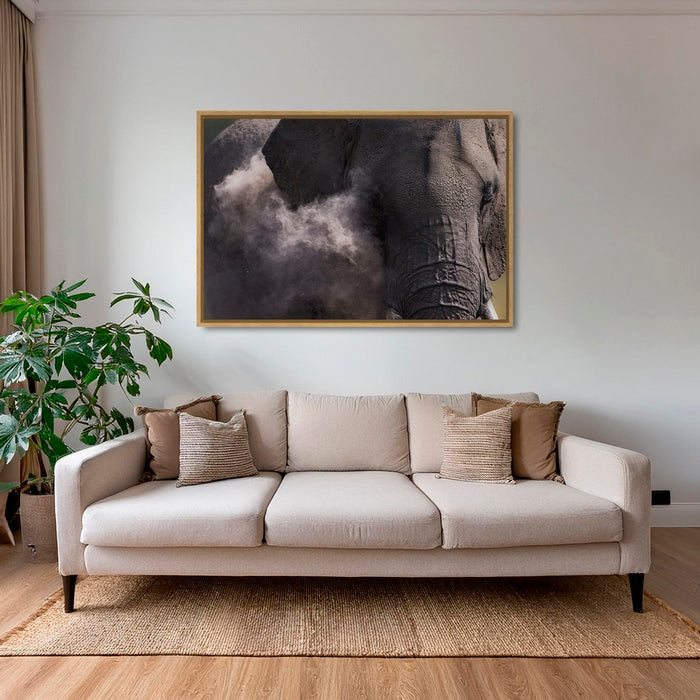 Poussière d'éléphant