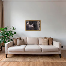 Charger l&#39;image dans la galerie, Poussière d&#39;éléphant
