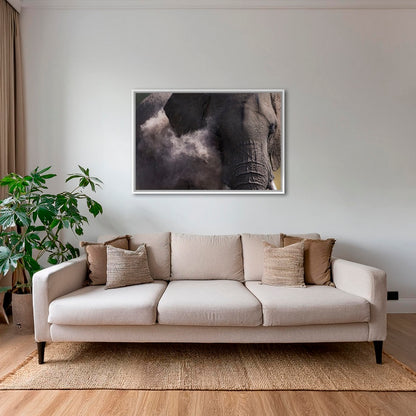 Poussière d'éléphant
