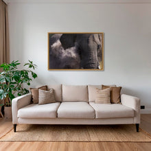 Charger l&#39;image dans la galerie, Poussière d&#39;éléphant
