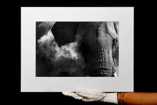 Charger l&#39;image dans la galerie, Poussière d&#39;éléphant 2 2
