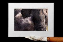 Charger l&#39;image dans la galerie, Poussière d&#39;éléphant 2
