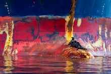 Charger l&#39;image dans la galerie, Le gazier de la méduse
