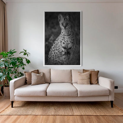 Serval 2