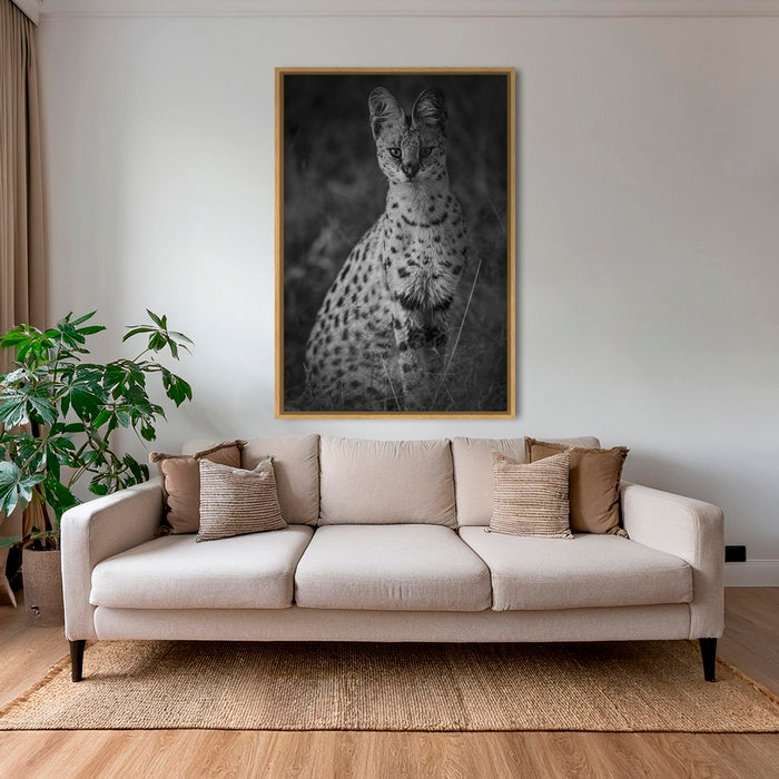 Serval 2