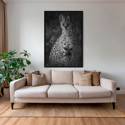 Serval 2