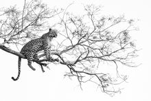 Charger l&#39;image dans la galerie, L&#39;heure de la chasse 2
