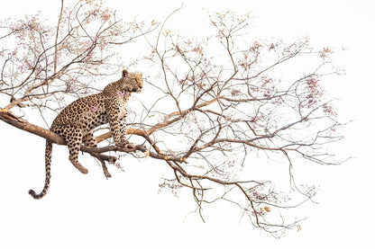 L'heure de la chasse