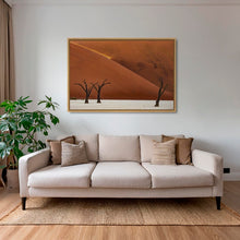 Charger l&#39;image dans la galerie, Les arbres et la lumière
