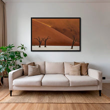 Charger l&#39;image dans la galerie, Les arbres et la lumière
