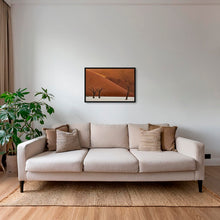 Charger l&#39;image dans la galerie, Les arbres et la lumière
