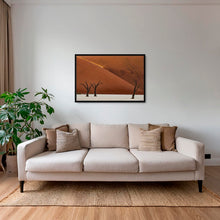 Charger l&#39;image dans la galerie, Les arbres et la lumière
