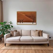 Charger l&#39;image dans la galerie, Les arbres et la lumière
