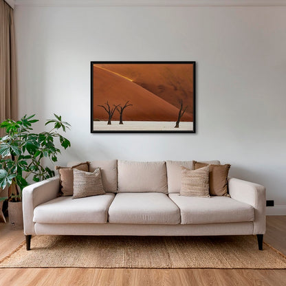 Les arbres et la lumière
