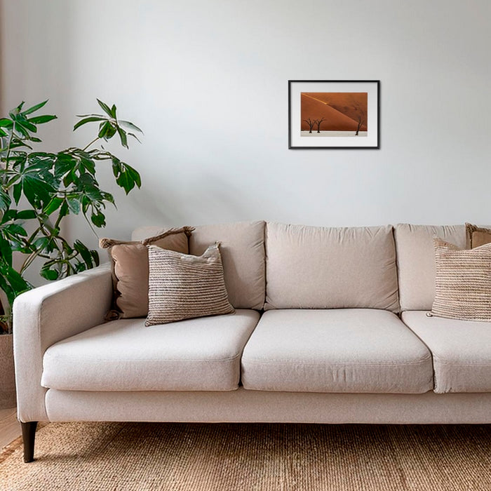 Les arbres et la lumière