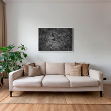 Charger l&#39;image dans la galerie, La belle mort
