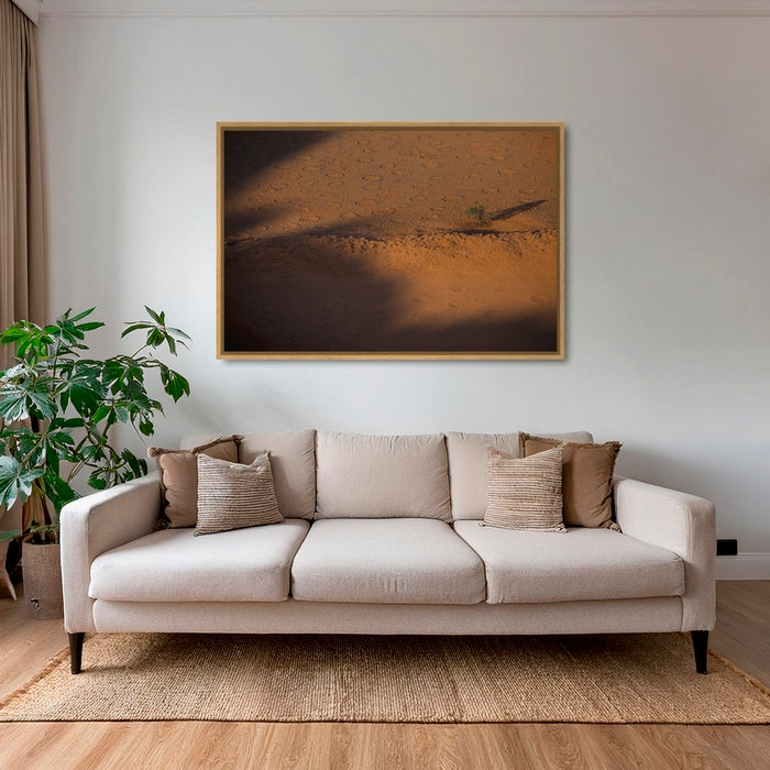 Acacia et ronds de fées