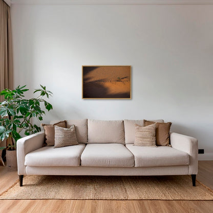 Acacia et ronds de fées