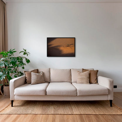 Acacia et ronds de fées