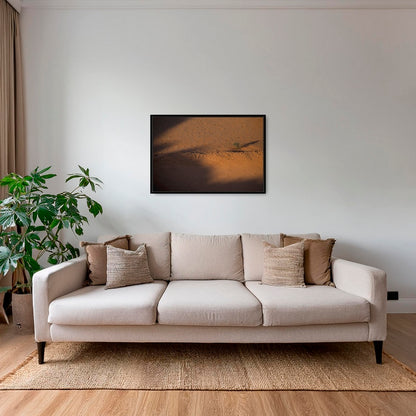 Acacia et ronds de fées