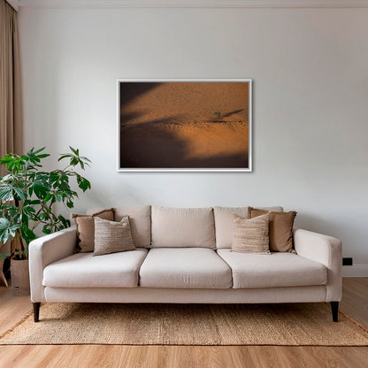 Acacia et ronds de fées