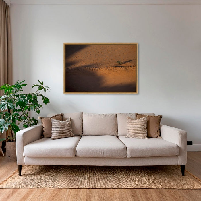 Acacia et ronds de fées