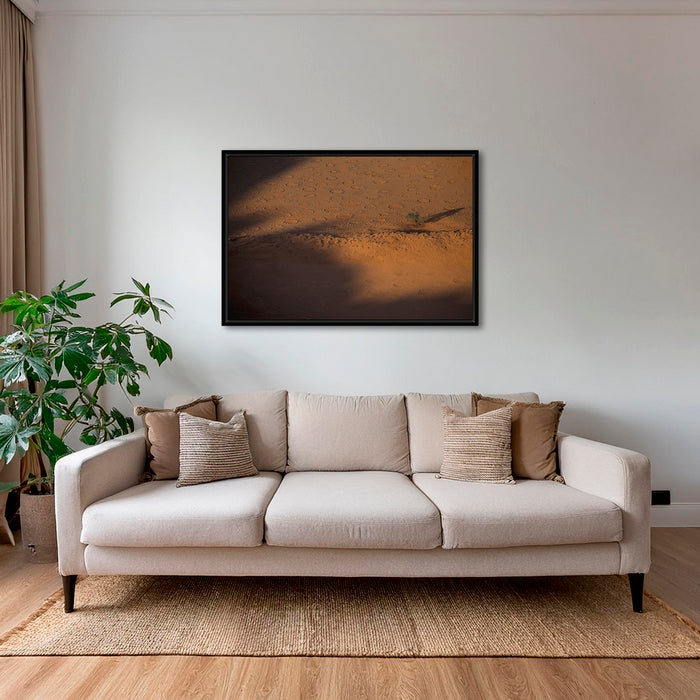 Acacia et ronds de fées