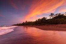 Charger l&#39;image dans la galerie, Couleurs Tropiques
