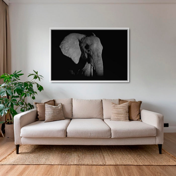 Éléphant de nuit