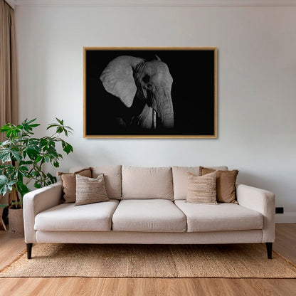 Éléphant de nuit