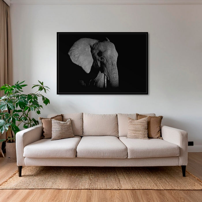 Éléphant de nuit