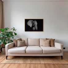 Charger l&#39;image dans la galerie, Éléphant de nuit
