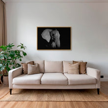 Charger l&#39;image dans la galerie, Éléphant de nuit
