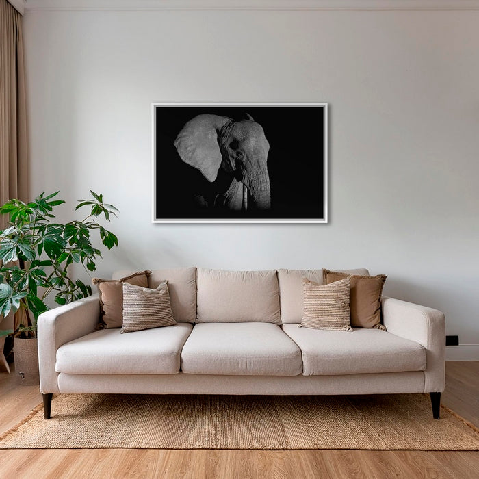Éléphant de nuit