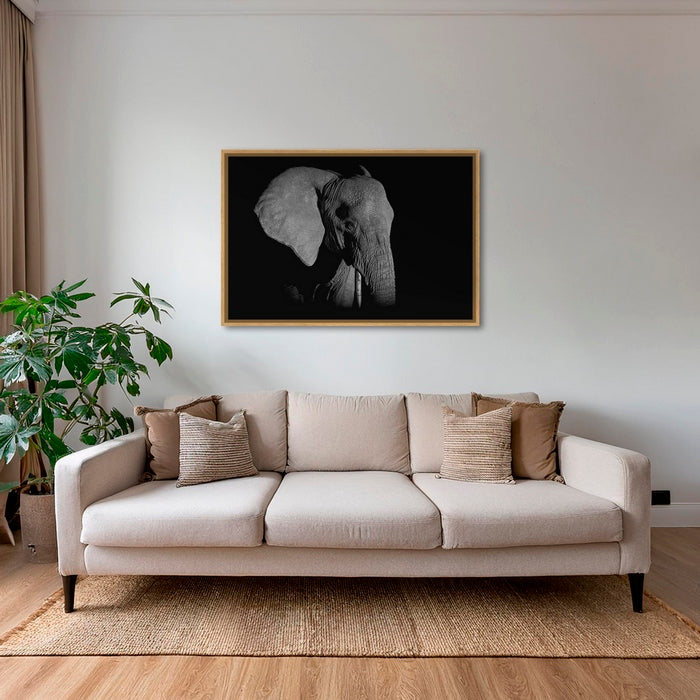 Éléphant de nuit