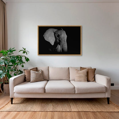 Éléphant de nuit