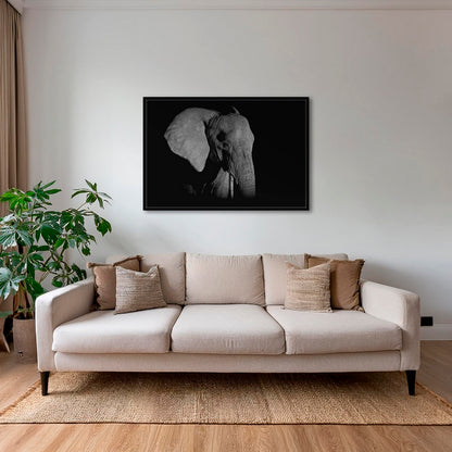 Éléphant de nuit