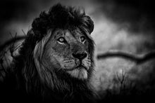 Charger l&#39;image dans la galerie, Vers le ciel
