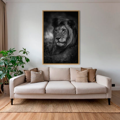 Le King du Serengeti