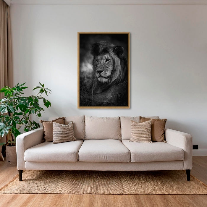 Le King du Serengeti