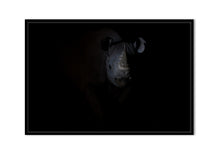 Charger l&#39;image dans la galerie, Rhinocéros noir dans le noir de la nuit
