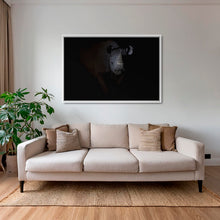 Charger l&#39;image dans la galerie, Rhinocéros noir dans le noir de la nuit
